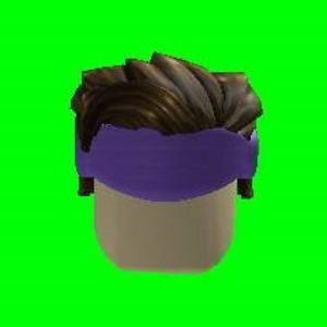 Meet your Posher, Gavin